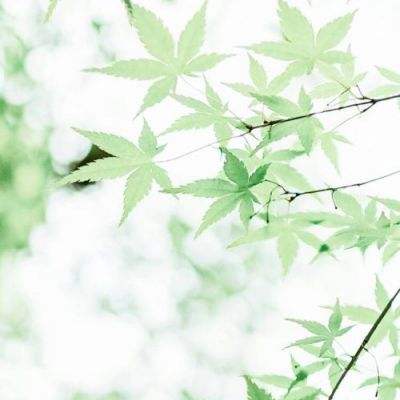 众神派对先锋服手机版下载